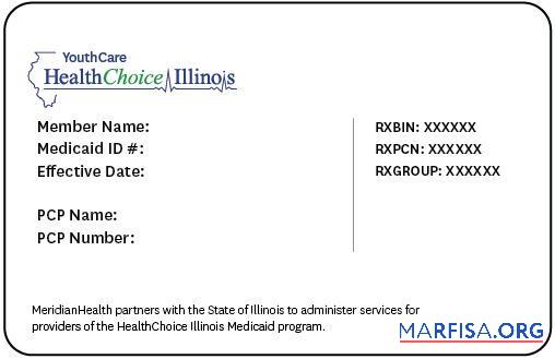 Realistic USA Illinois HealthChoice medical ID card real example